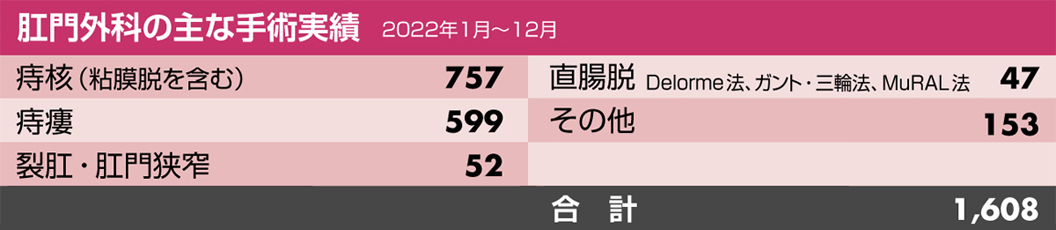 肛門外科の主な手術実績