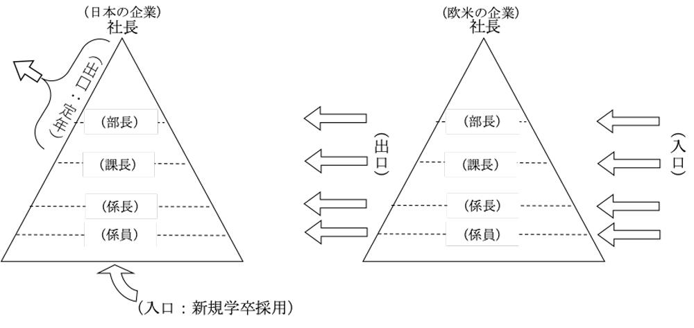 chuo_20241107_img1.jpg