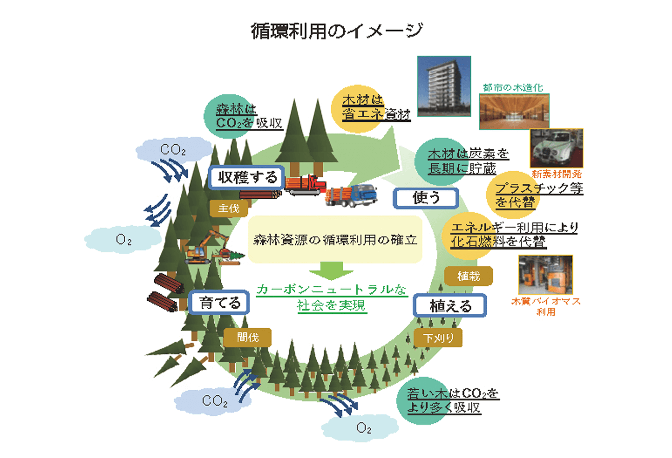 森林利用の循環イメージ（林野庁『令和4年度森林・林業白書』から）