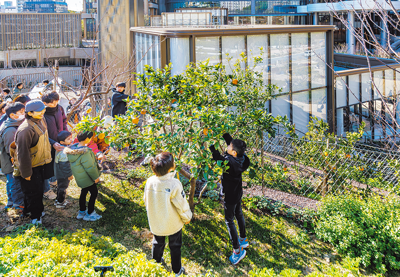 果樹園や菜園では、親子向け体験活動などの環境教育や啓発活動も開催