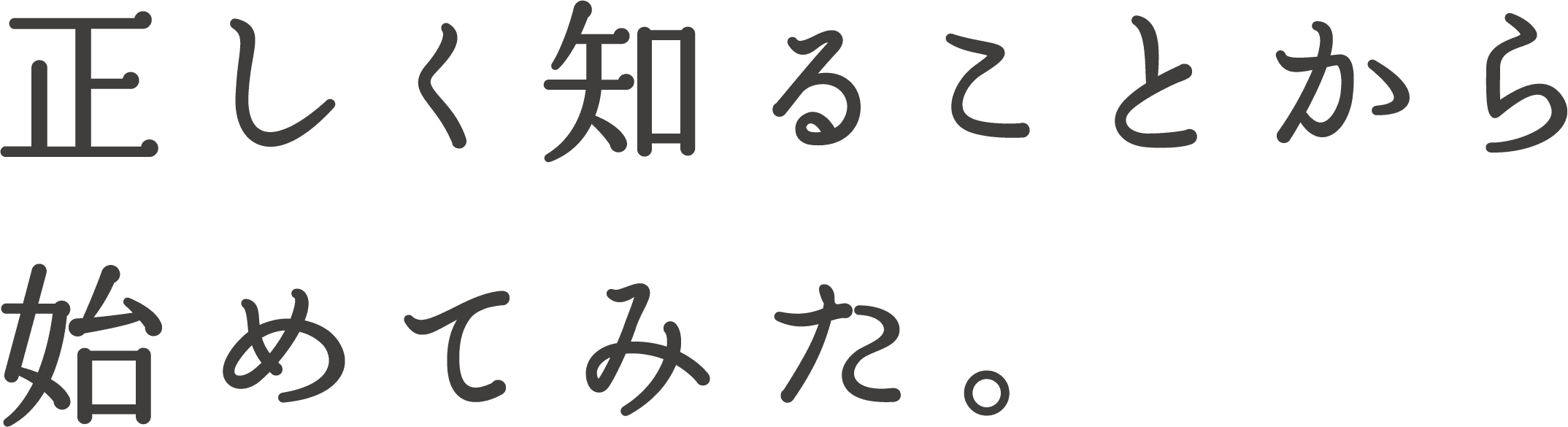 正しく知ることから始めてみた。