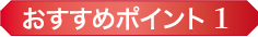 おすすめポイント1
