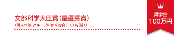 文部科学大臣賞（最優秀賞）（個人の部、グループの部を総合して1名〈組〉）奨学金100万円