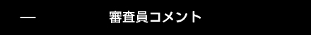 審査員コメント