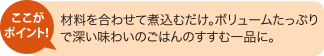 ここがポイント！ 材料を合わせて煮込むだけ。ボリュームたっぷりで深い味わいのごはんのすすむ一品に。