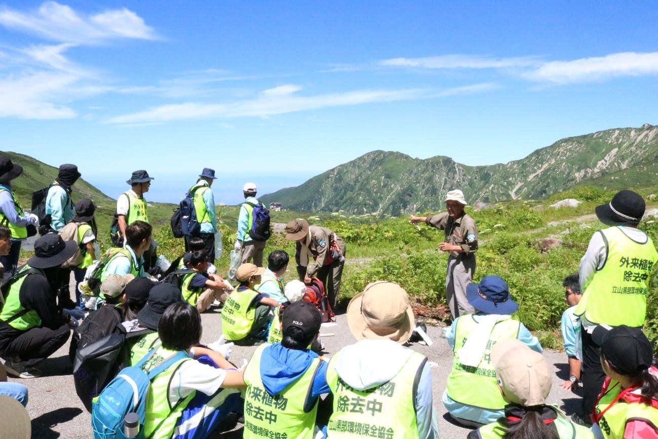 室堂周辺で実施された「富山西ロータリークラブ」の外来植物除去活動（2024年8月2日）