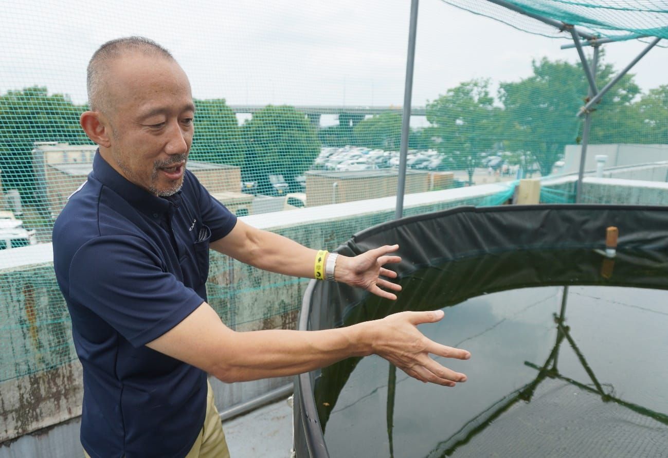 イタセンパラの保護・繁殖を手がける水槽を前に語る、アクア・トトぎふの池谷さん（2024年8月）