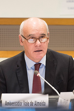 Joao Vale de Almeida