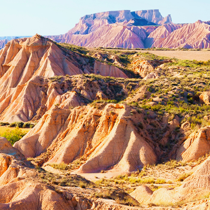 バルデナス・レアレス自然公園