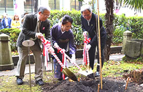 桜の苗木を植える佐竹氏(左)、三溝氏(中央)、和泉法夫・ソフィア会会長(右)