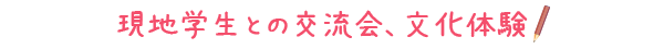 現地学生との交流会、文化体験