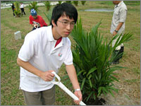 植樹の模様