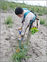 植林に挑戦。土が堅い！　なかなか掘れなくて大苦戦