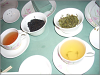 茶葉が違えば、お茶の色はこんなに違う